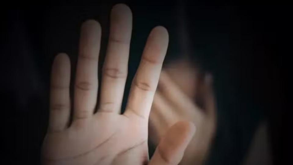 Plantão de Polícia-  Funcionário é preso após tentar levar filha de 12 anos da patroa à força para banheiro