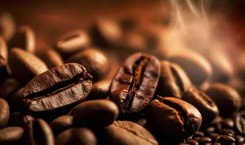 Café, açúcar e milho: confira cotações desta quarta-feira