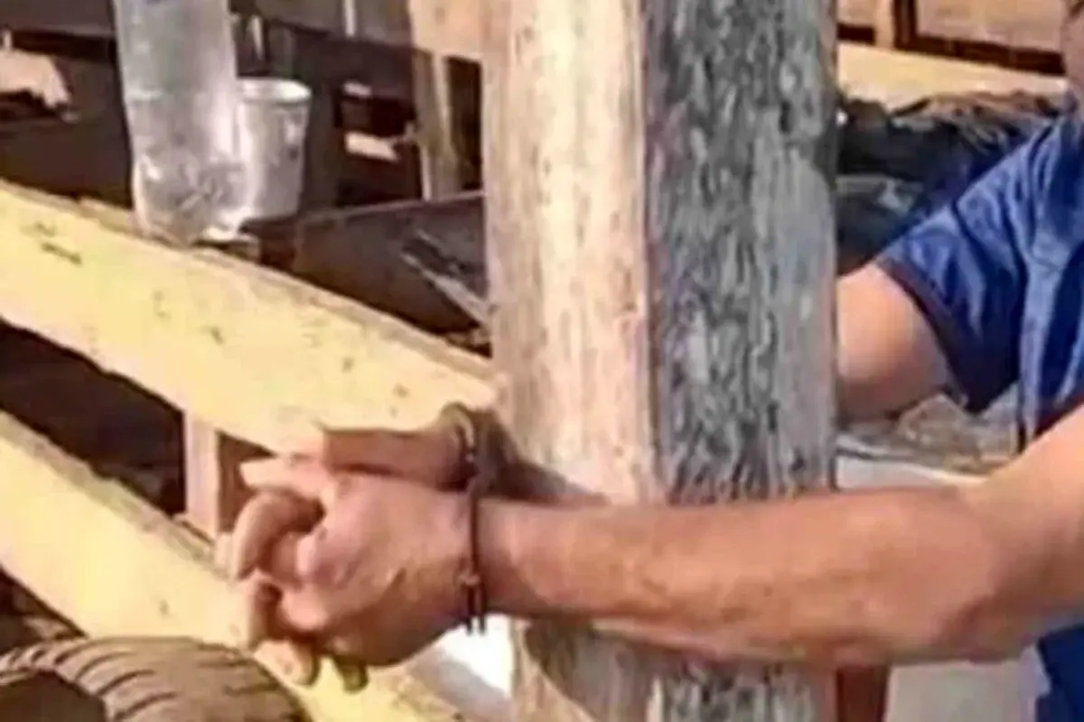 Porto Velho - Idoso é amarrado durante roubo de caminhonete na zona rural