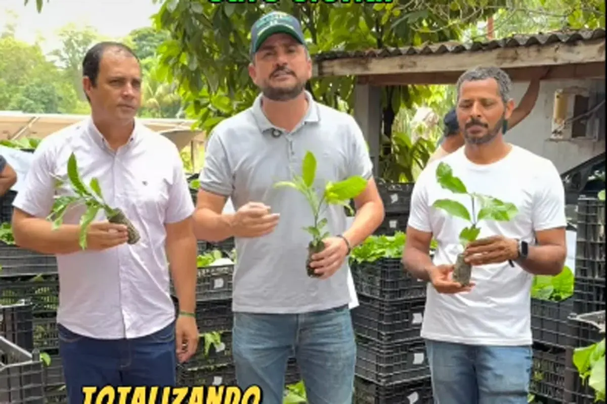 O incentivo
