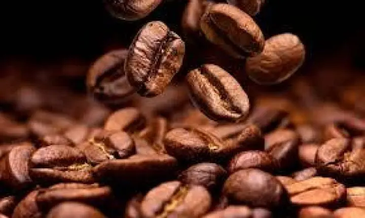 Agronegócios - Café · 22 de outubro de 2026 Café, açúcar e milho: confira cotações para esta quinta-feira (22) 