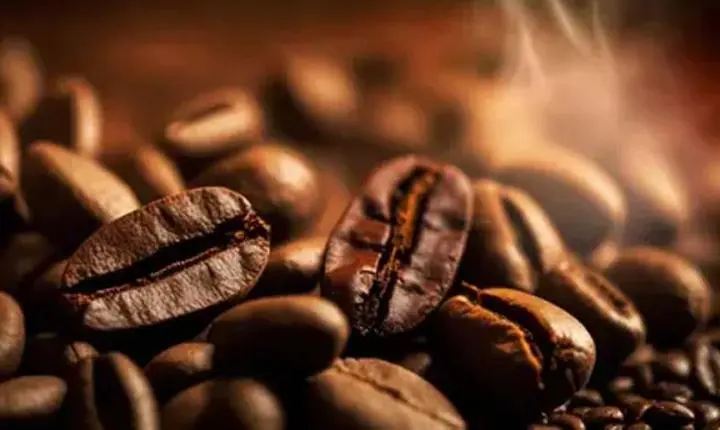 Café, açúcar e milho: confira cotações desta quarta-feira