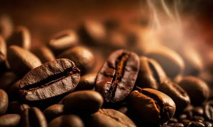 Café, açúcar e milho: confira cotações para esta quarta-feira (28)