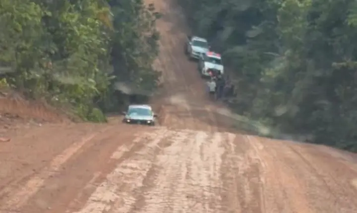 Corpo com várias marcas de tiros é encontrado em linha da zona rural de Porto Velho