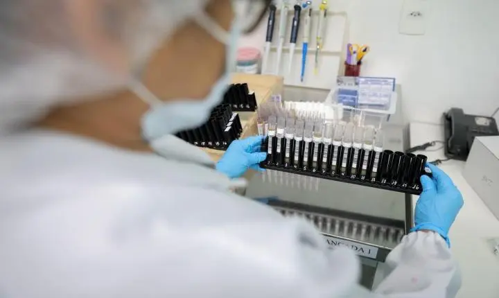 Malária: Anvisa autoriza teste em humanos de vacina 100% brasileira