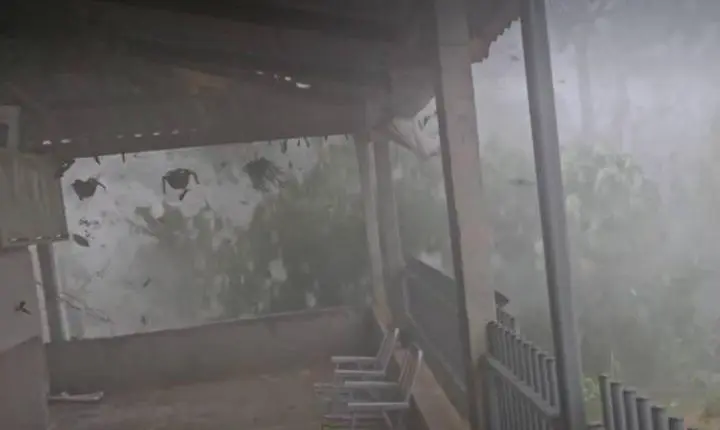 Notícias- VÍDEO - Imagens de vendaval assusta moradores em Alto Alegre dos Parecis em RO