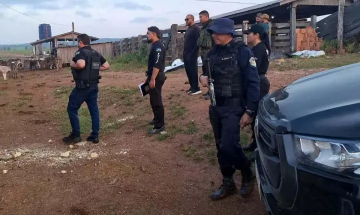 Operação Verde Rondônia - Polícia Civil cumpre mandados em investigação de crimes ambientais