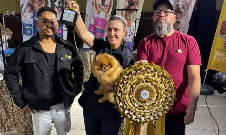 Orgulho de Rondônia! Tosadora de Rolim de Moura é bicampeã em Cuiabá.