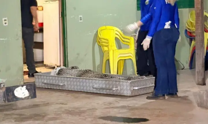 Pai encontra filho assassinado dentro de casa com sinais de extrema violência em MT; imagens