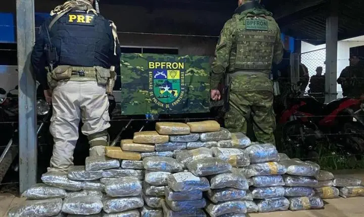 Polícia - Forças de segurança apreendem mais de 100 kg de skunk avaliados em R$ 1,24 milhão