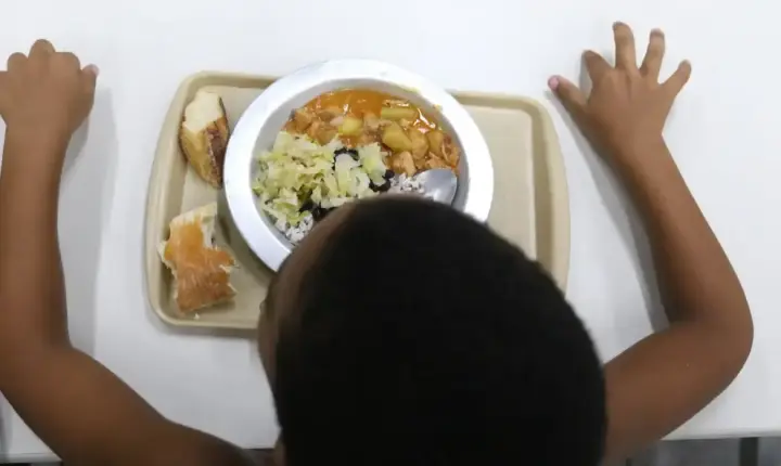 Direitos Humanos - ONU: inovação para enfrentar crise alimentar é tema de ação no Brasil